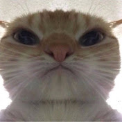 Profile Picture of Akee (@akee2631) on Youtube