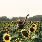 Profile Picture of Linh Nguyen 🌿🌻 (@plantnugget) on Instagram