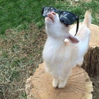Profile Picture of Benjamin Eskridge (@benjamineskridg) on Pinterest