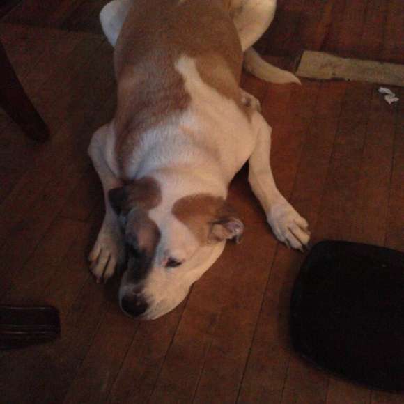 Profile Picture of Steve Poulton (@smpoulton1205) on Poshmark