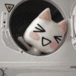 Profile Picture of 𝔯𝔞𝔴𝔯 (@conito_rawr) on Instagram