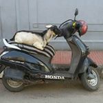 Profile Picture of David Timbs (@david.timbs) on Instagram