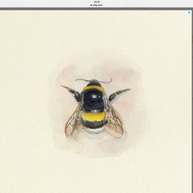 Paul Schuringa - Pinterest Profile Picture of Paul Schuringa (@paulschuringa) on Pinterest