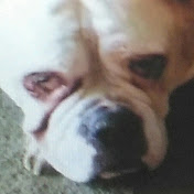 Profile Picture of Jimmie Moore (@jimmiemoore4152) on Youtube