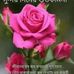Profile Picture of Rita Gharami (@rita.gharami.129) on Facebook