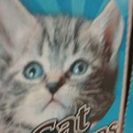 Profile Picture of blake mansfield riley (@idkmeeeooow) on Instagram