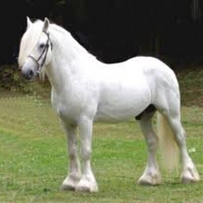 Profile Picture of Brian Oates (@boates2000) on Twitter