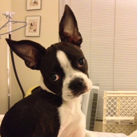 Profile Picture of Jamie Imblum (@jimblum08) on Poshmark