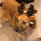 Profile Picture of Tyler Alexander (@tyleralexander4328) on Youtube