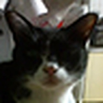 Profile Picture of July Nagayama (@julyn0702) on Flickr