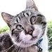 Profile Picture of Leodora Lab Ungen (@leodora.labungen) on Facebook
