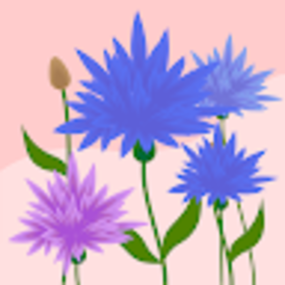 Kimberly Meece - Poshmark Profile Picture of Kimberly Meece (@kimberly7688) on Poshmark