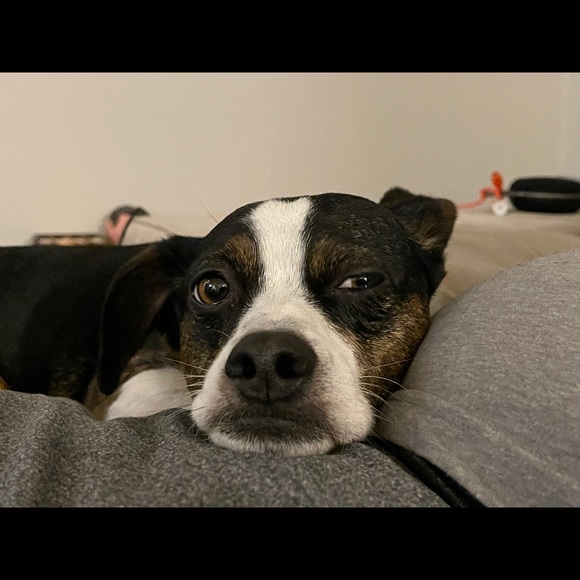 Profile Picture of Salima Walji (@salkw) on Poshmark