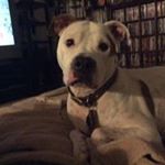 Profile Picture of Brian Goering (@goeringb) on Instagram