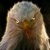 Profile Picture of Thomas Mcclure (@thomas.mcclure.5099) on Facebook