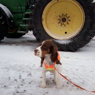 Profile Picture of Kenna Stewart (@Kenna-Stewart) on Facebook