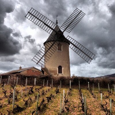 Profile Picture of Labruyere Family (@LabruyereFamily) on Twitter