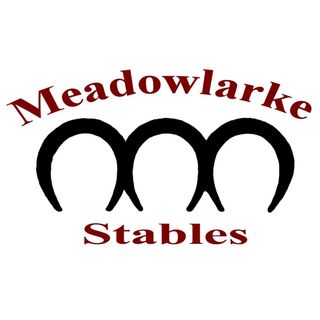 Profile Picture of Meadowlarke Stables (@meadowlarkestables_mississauga) on Instagram