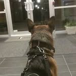 Profile Picture of Chris Mudry (@chrismudry) on Instagram