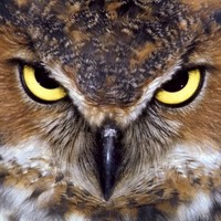 Profile Picture of Jorge Brenes (@jorge-brenes-4) on Quora