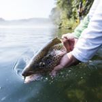 Profile Picture of David Pitt (@flytyerworld) on Instagram