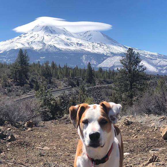 Profile Picture of Rosanne Wallace (@rosannewalla469) on Poshmark