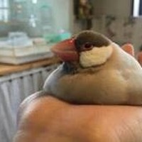 Profile Picture of Min Li (@min-li-119) on Quora