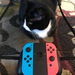 Profile Picture of Max Schindler (@hey_alexa_pet_my_cat) on Instagram