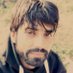 Profile Picture of Anam Shah (@anamshah922) on Twitter