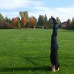 Profile Picture of Peter Gong (@gxy511chm) on Instagram