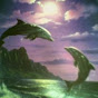 Profile Picture of icelandicdolphin (@@icelandicdolphin) on Tiktok