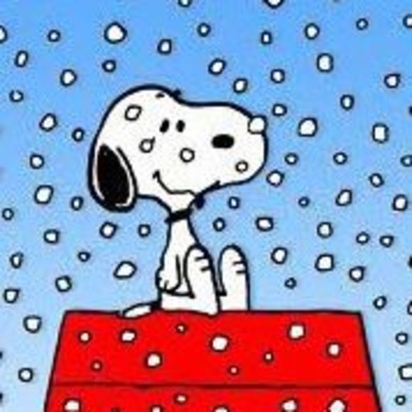 Profile Picture of Cindy Hamblin (@hamblin326) on Poshmark