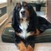 Profile Picture of John Helfst (@johnhelfst) on Pinterest