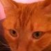 Profile Picture of Rusty Gibson (@rusty.gibson.18) on Facebook