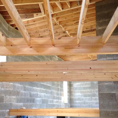 Profile Picture of Adam Reiser (@shelter_homes) on Twitter