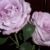 Profile Picture of Debbie Setzer (@debbiesetzer5) on Pinterest