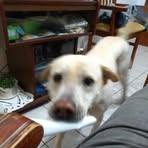 Profile Picture of Alberto Caporossi (@alberto.caporossi.7) on Facebook