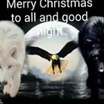 Profile Picture of troy (@troyneumann101) on Instagram