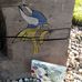 Profile Picture of Jerry Stoltenburg (@Jerry-Stoltenburg) on Facebook