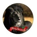 Profile Picture of Paul Andrew Boykins (@paulandrewboykins_) on Instagram