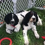 Profile Picture of Addison & Barton Adams (@addi_bart) on Instagram