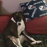 Profile Picture of Tamara Worcester (@thatssewtammy) on Instagram