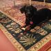 Profile Picture of JoAnn Mullins (@joann.mullins.12) on Facebook