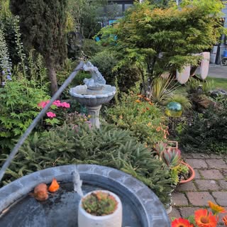 Profile Picture of Robin Magorty (@magortyrobin) on Instagram