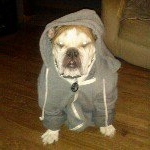 Graves Neal De Armond - Instagram Profile Picture of Graves Neal De Armond (@gndearmond9) on Instagram