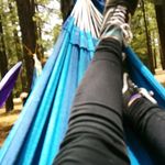 rachael reese - Instagram Profile Picture of rachael reese (@rachaelreese21) on Instagram