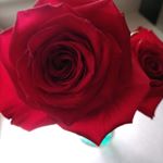 Profile Picture of Carla Weitzel (@carla.weitzel.311) on Instagram