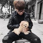 Profile Picture of Nguyễn Kiên Trung (@kientrungdz) on Instagram
