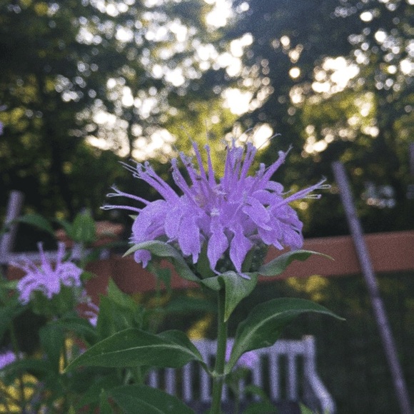 Profile Picture of Kkerry Linderoth (@khl287) on Poshmark