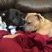 Profile Picture of Kathy Maciejewski (@kkreuziger) on Pinterest